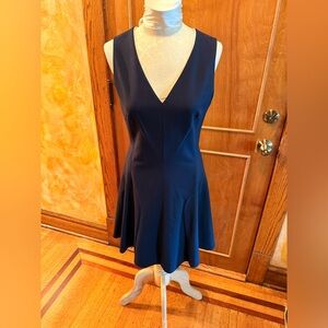 Rebecca Taylor Navy Sleeveless V-Neck Fit-and-Flare Mini Dress